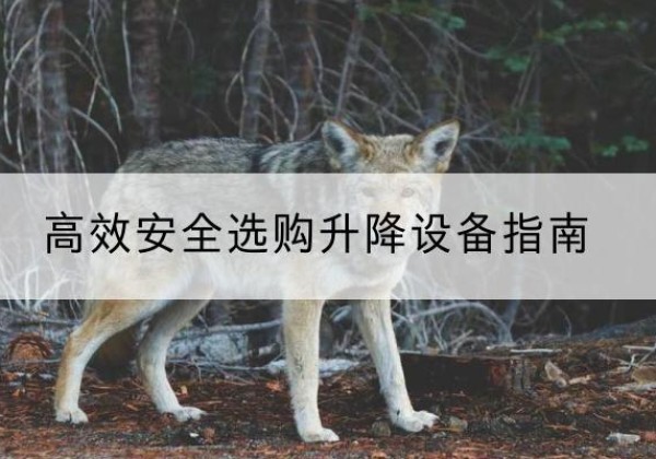 土默特左旗升降货梯厂家推荐-*安全选购升降设备指南