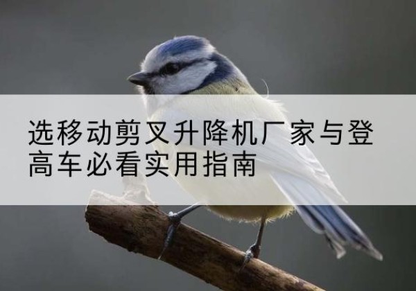 土默特左旗电动升降机厂家-选移动剪叉升降机厂家与登高车必看实用指南